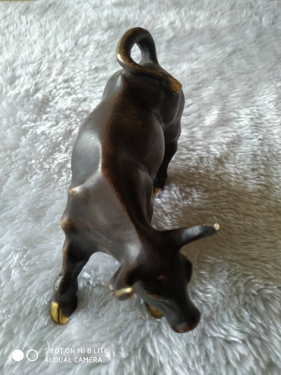 ͭţڼ